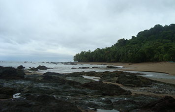 Corcovado National Park Tour