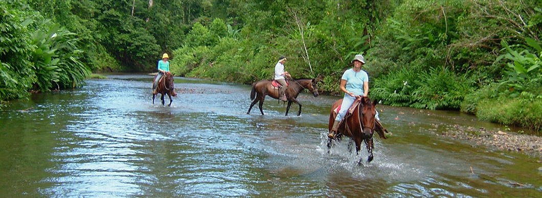 Horseback riding tours, vacations in costa rica