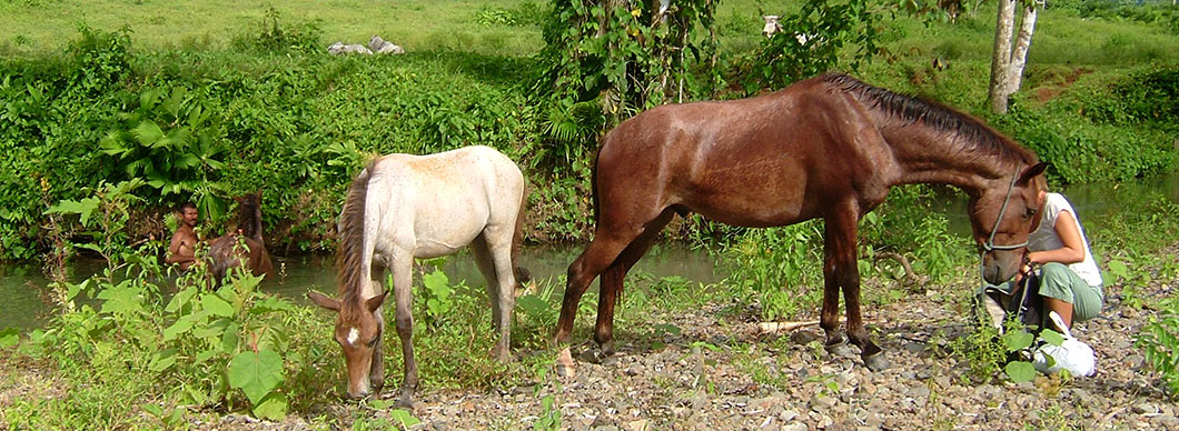 Horseback riding tours, vacations in costa rica