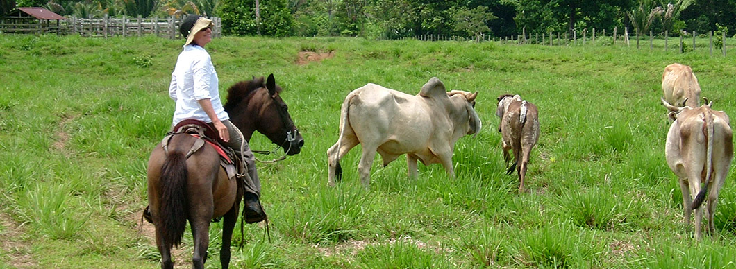 Horseback riding tours, vacations in costa rica