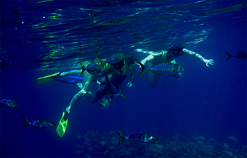 Snorkeling Cano Island